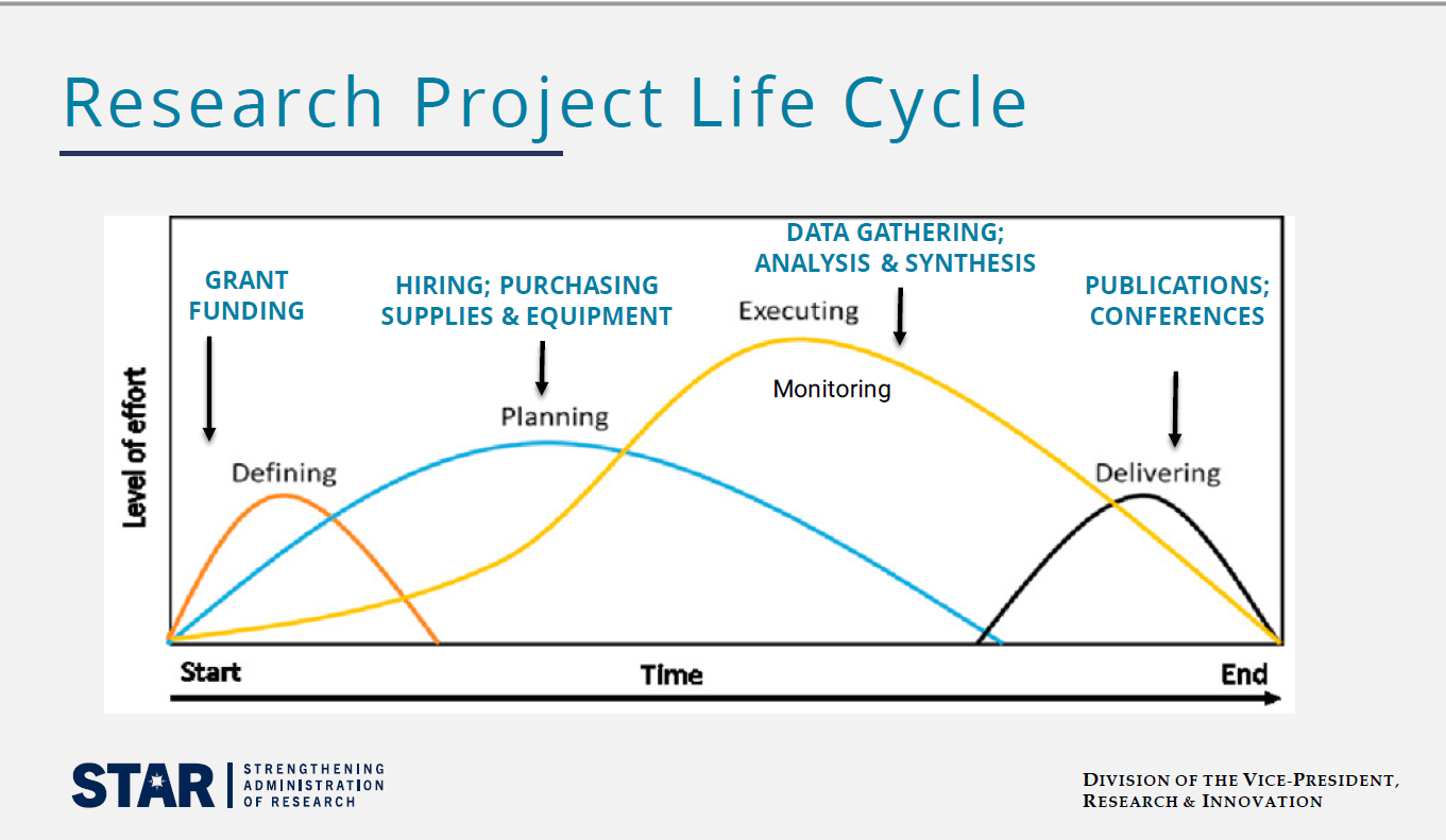 Graph showing a research project life cycle with level of activity on the vertical axis and time on the horizontal axis..