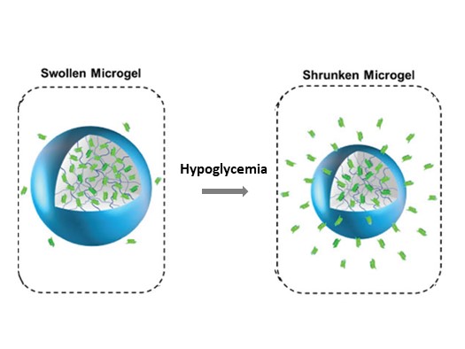 Microneedle Patch