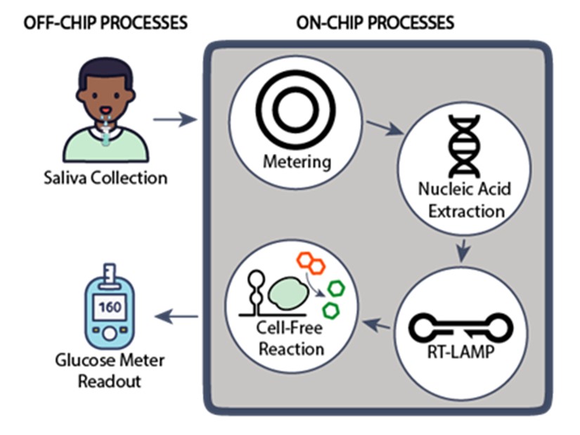 Automated Microfluidic System