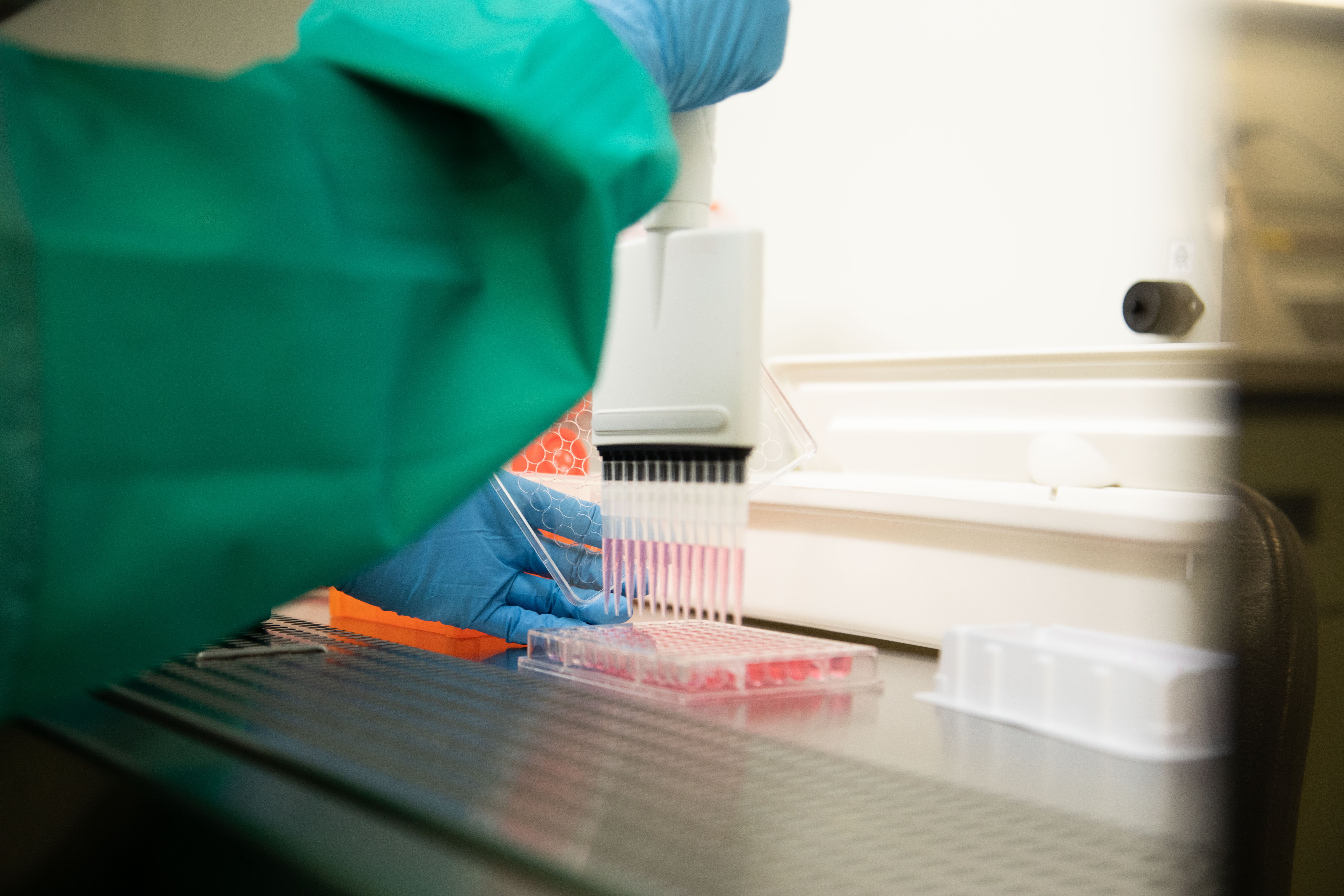 Gloved hands working with vials in a lab.