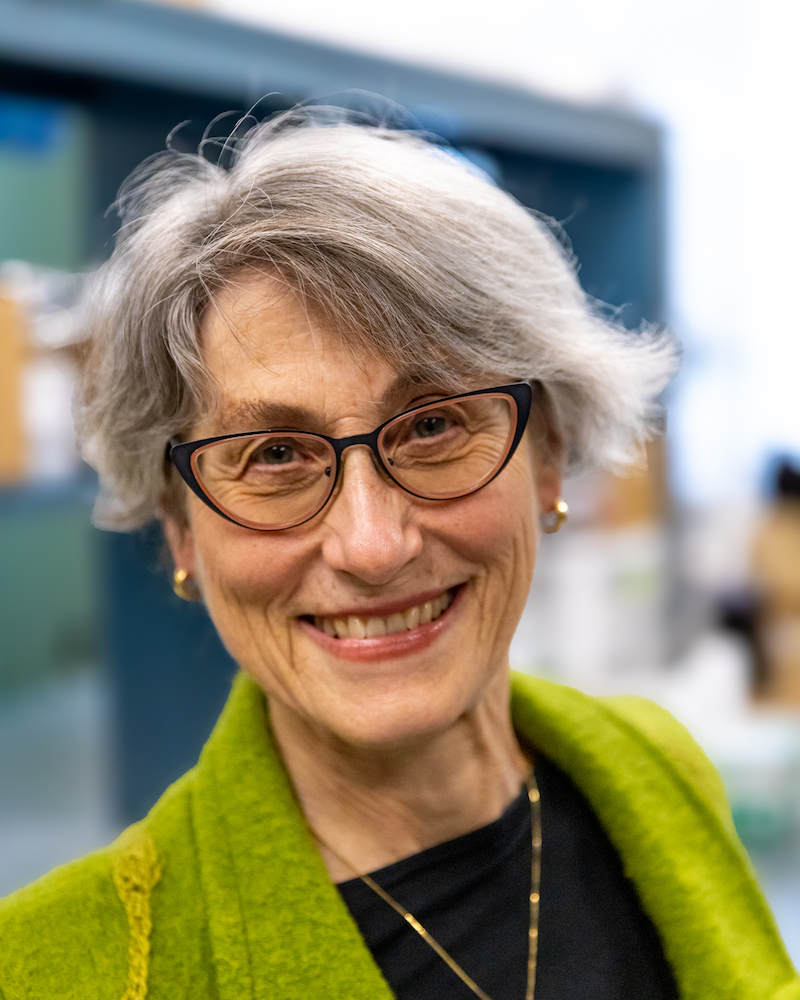 Headshot of Professor Miriam L. Diamond 