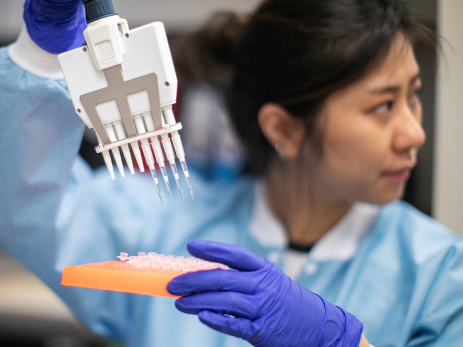 A female scientist using a multichannel pipette in a lab setting