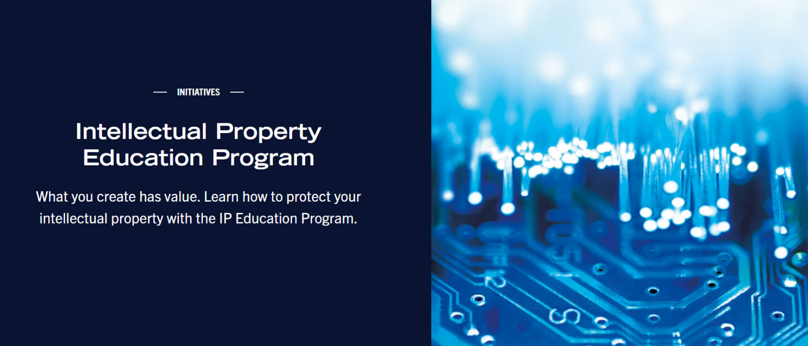 Decorative image of the home page of the U of T IP Education Program