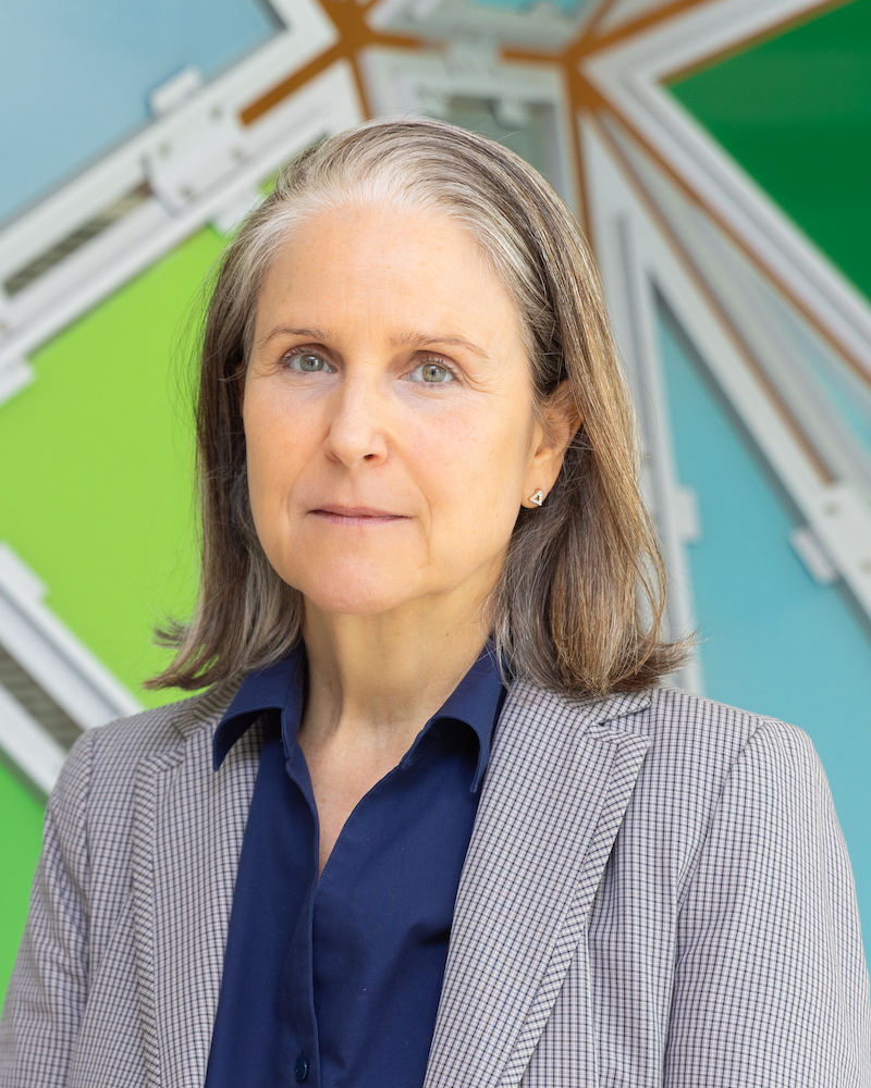 Headshot of Lisa Puchalski-Ritchie