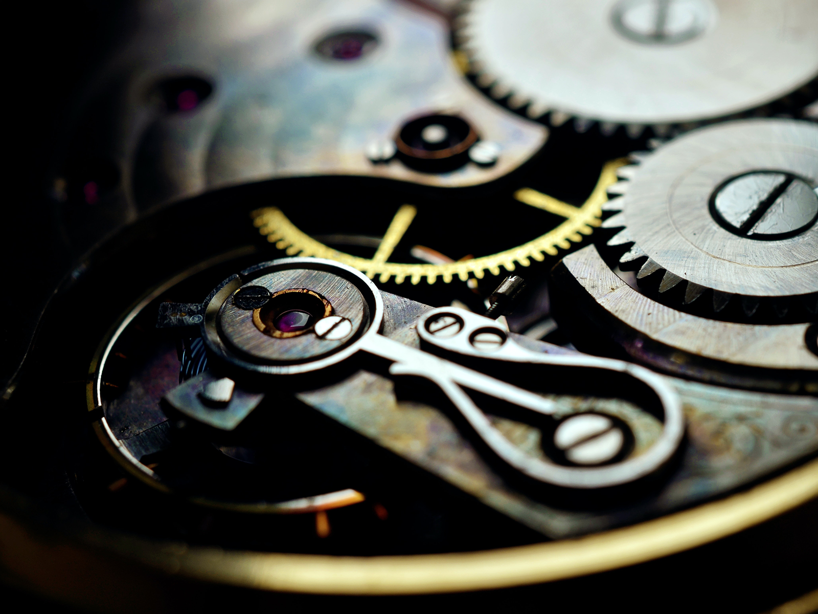 Close up of gears of a pocket watch.