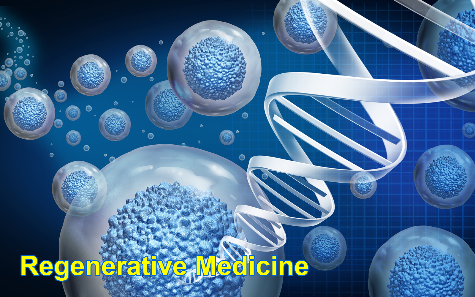 Regenerative Medicine Downloadable Resource