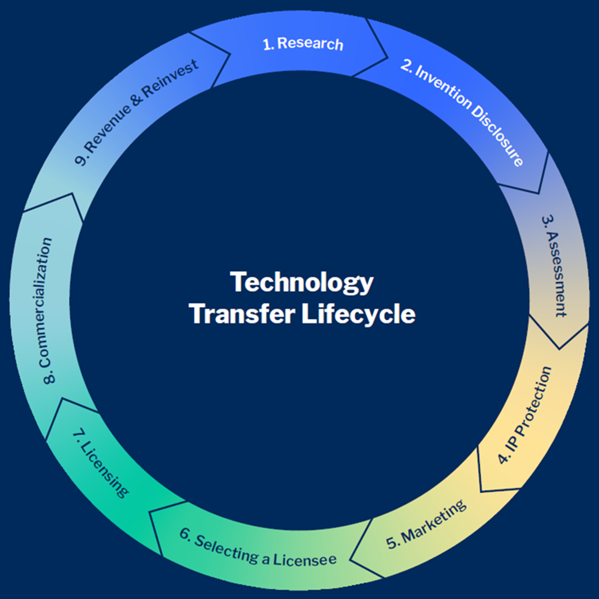 Diagram of the commercialization process life cycle including invention disclosure, assessment, IP protection, licensing, etc.