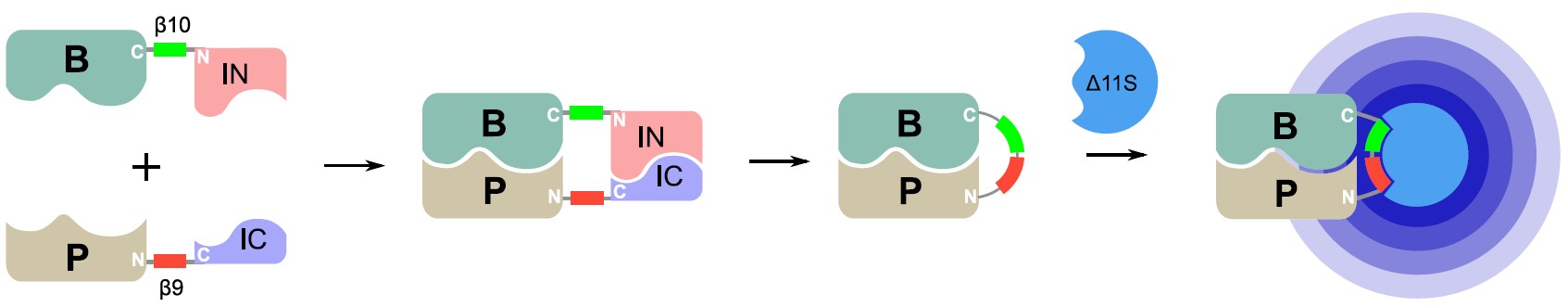 A diagram of a diagram

Description automatically generated