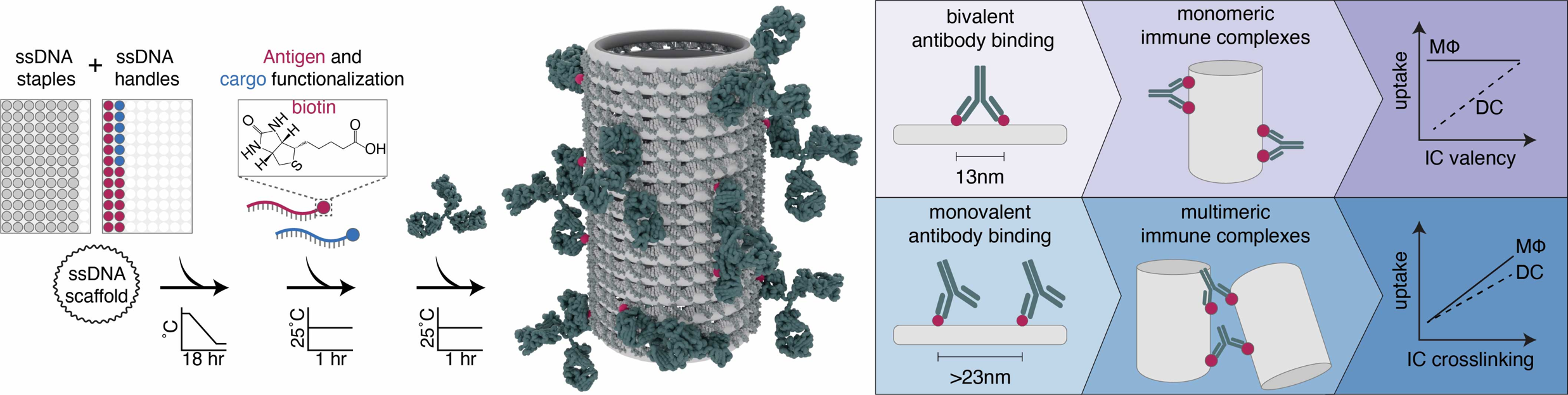 A close-up of a cylinder

Description automatically generated