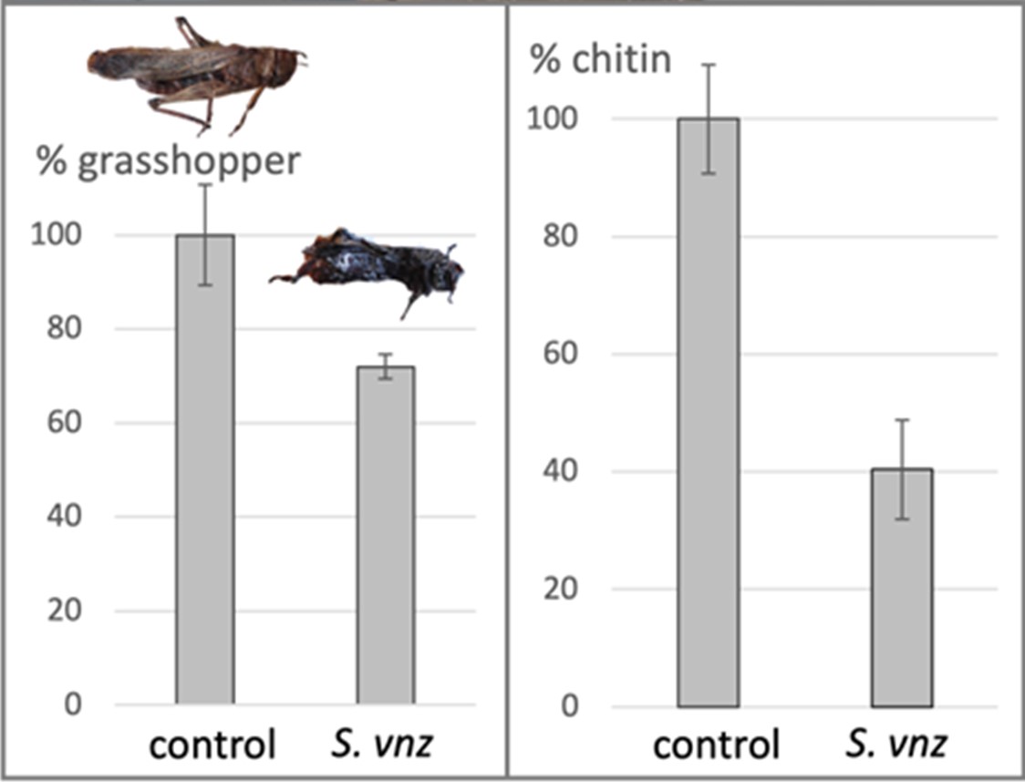 A comparison of a graph of insects

AI-generated content may be incorrect.