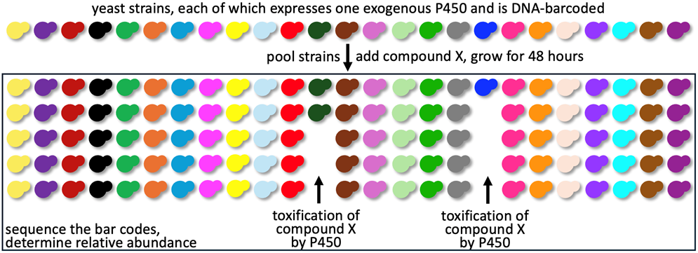 A chart of different colors

AI-generated content may be incorrect.