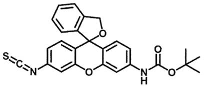 A black and white drawing of a molecule

AI-generated content may be incorrect.