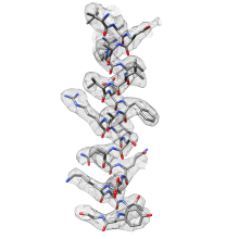 Image of Cryosparc