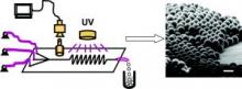 Image of MicroFluidic Reactor