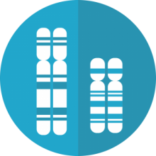 Image of DNA