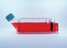 Cell Culture