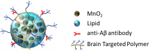 Theranostic nanoparticles