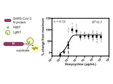 Screening for compounds