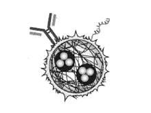 Metal Nanoshell-Coated Barcodes for Polymer Microbeads