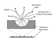 QD Barcode Detection