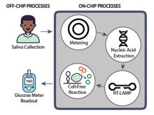Automated Microfluidic System