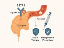 Hypoglycemia Therapeutic